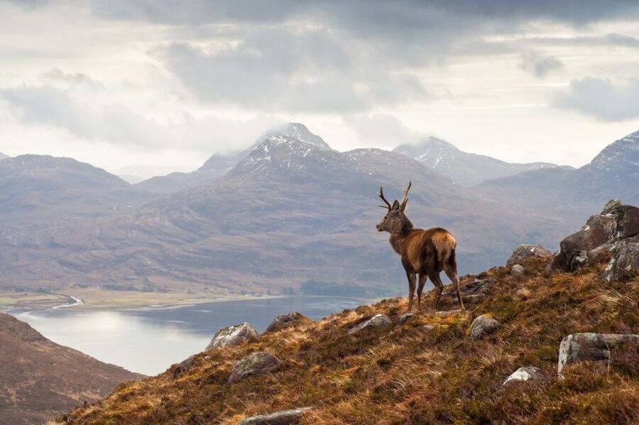 Inverness: Applecross, Loch Carron & Wild Highlands Day Tour - Cuaig Croft: a brief rural viewpoint