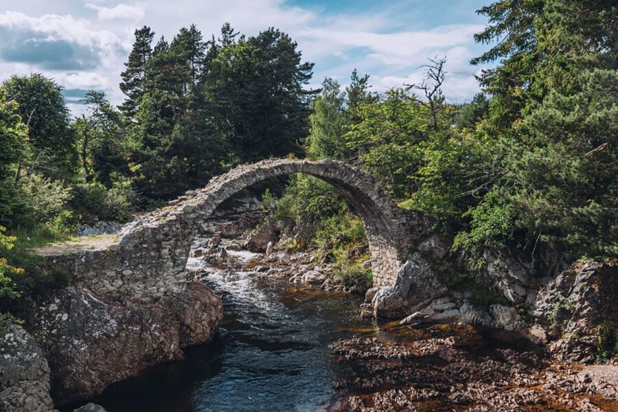 Inverness: Moray Coast, Wildlife and Speyside Whisky Tour - Wildlife at Troup Head, Spey Bay, or Aberlour