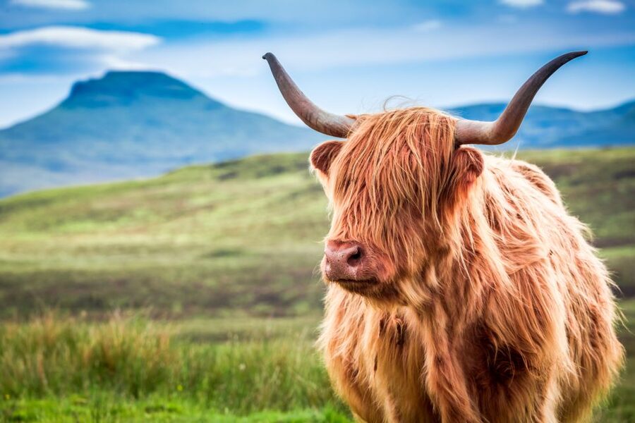 Isle of Skye & The Highlands: 3-Day Guided Tour from Glasgow - Loch Ness, Urquhart Castle, and the Jacobite past