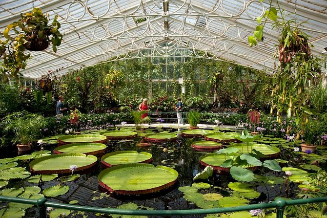 Kew Gardens Entrance Ticket - Entering Kew Gardens and setting your own pace