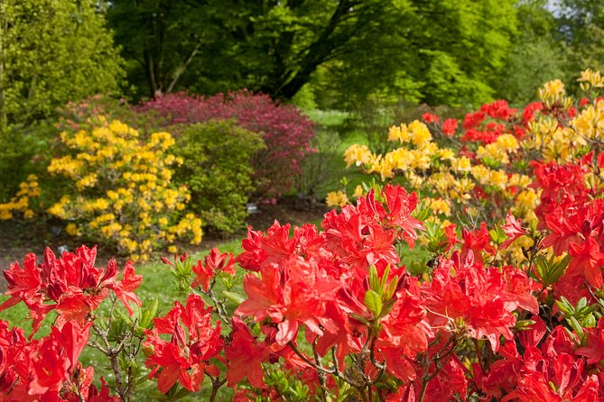 Kew Gardens Entrance Ticket - Free guided walks or an independent visit