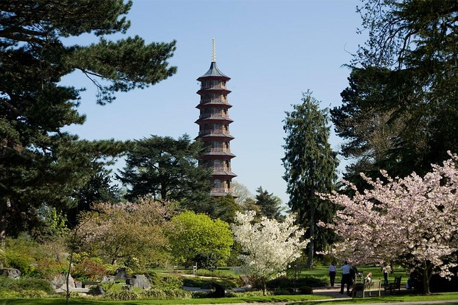 Kew Gardens Entrance Ticket - The central gardens: Azaleas, bamboo, and Queen’s Garden