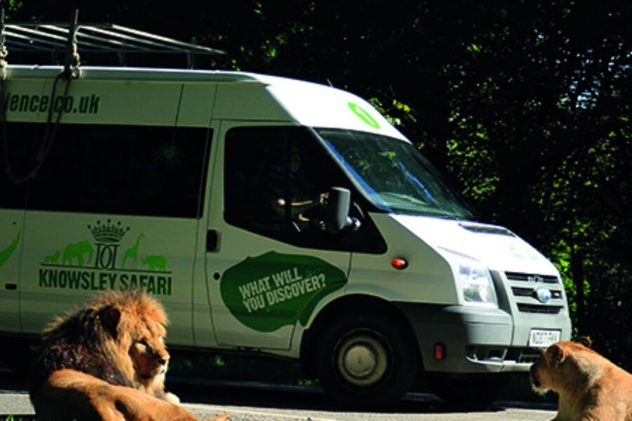 Knowsley: Safari Entry Tickets - Staff talks and displays add useful context