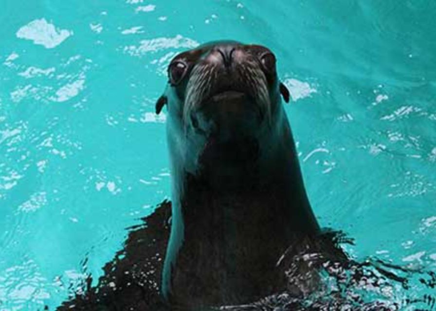 Knowsley: Safari Entry Tickets - Accessibility and comfort during a full day