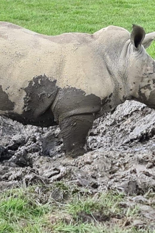 Knowsley: Safari Entry Tickets - Lions, baboons, and the rules that protect your car