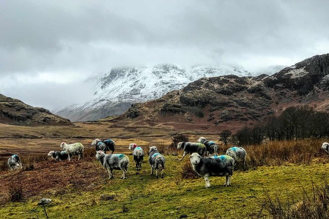 Lake District Adventure Sightseeing Day Trip from Liverpool - Key points before you book