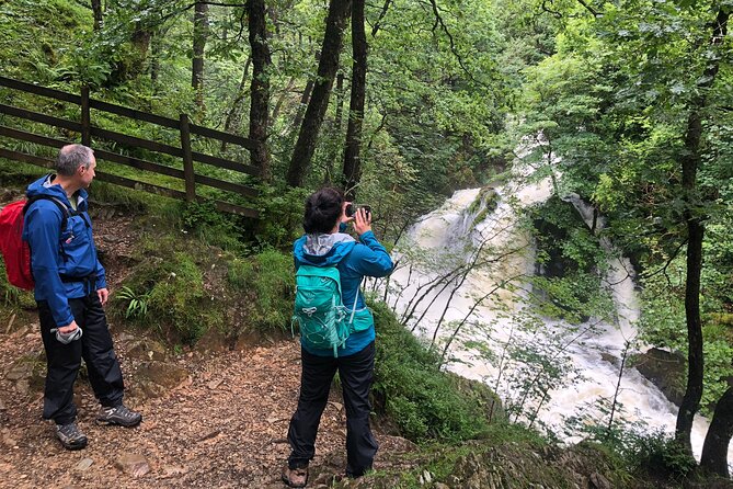 Lake District Walking Tour - Why this Elterwater walk works so well