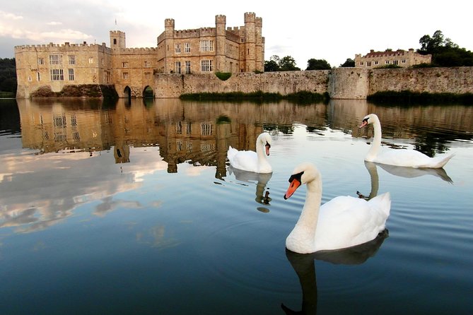 Leeds Castle, Canterbury, Dover & Greenwich Cruise from London - Dover and the White Cliffs