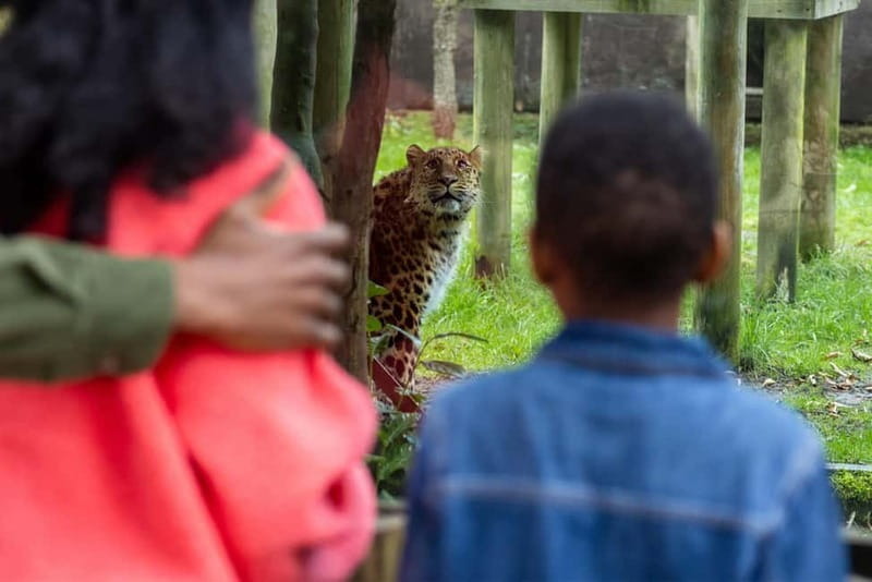 Leicestershire: Twycross Zoo Entry Ticket - Starting your visit across 100 acres