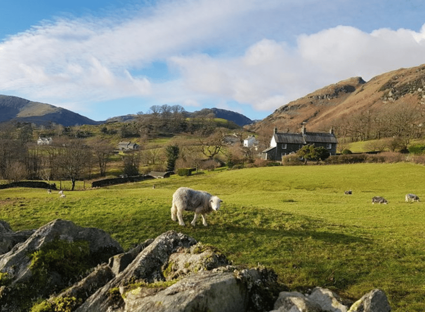 Liverpool: Lake District Tour with Lake Cruise & Train Ride - Six details that shape the day