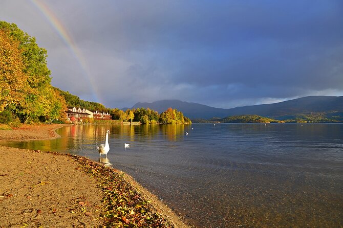 Loch Lomond National Park & Stirling Castle Full Day Tour - Why this Glasgow day trip works