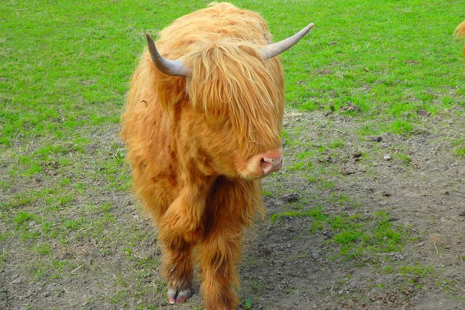 Loch Ness & Culloden Battlefield Private Tour from Inverness - Culloden Battlefield, the emotional center of the day