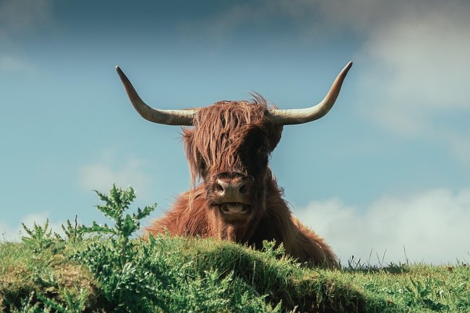 Loch Ness, Glen Coe & The Highlands Day Tour from Edinburgh - Glencoe: brief time in a dramatic place