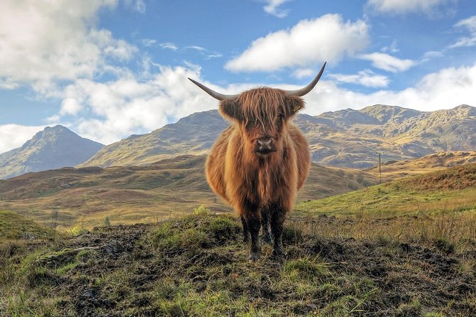 Loch Ness, Glencoe & the Highlands Guided Day Tour from Edinburgh - Fort Augustus and Urquhart Castle choices