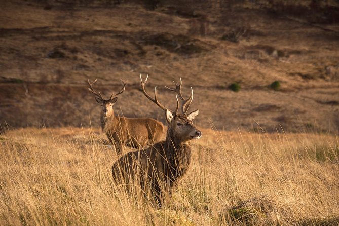 Loch Ness, Scottish Highlands, Glencoe and Pitlochry Tour - The Commando Memorial and the Nevis Range