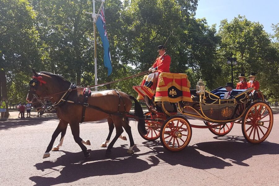 London: 30 London Sights Guided Walking Tour - Why the guides make or break the day