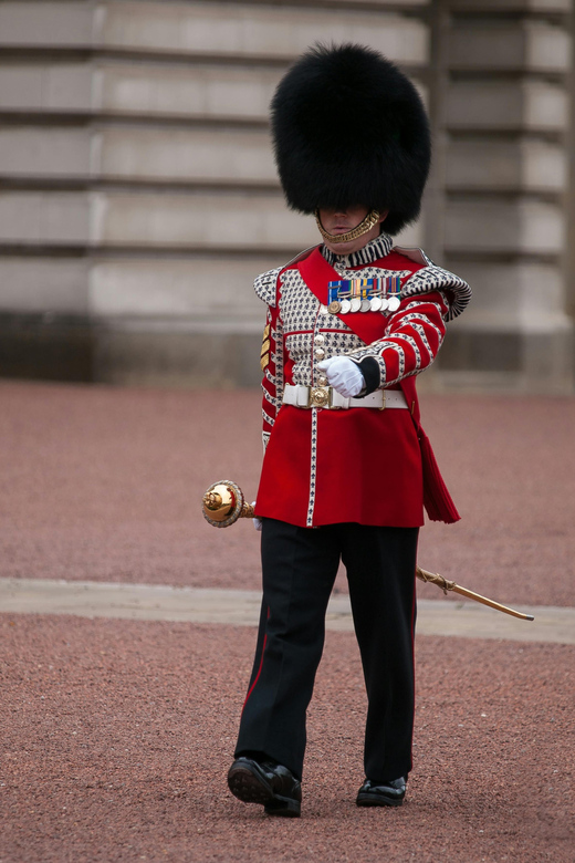 London: Changing of the Guard Experience and Landmarks Tour - Buckingham Palace and the best photo opportunities
