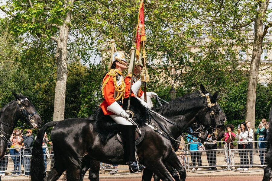 London: Changing of the Guard Tour by Buckingham Palace - Starting at the Duke of York Monument