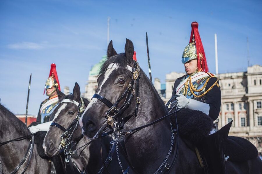 London: Changing of the Guard Walking Tour - Why this tour works better than waiting at Buckingham Palace