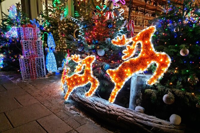 London Christmas Lights Bike Tour with Local Guide - Bond Street and Oxford Street at Christmas