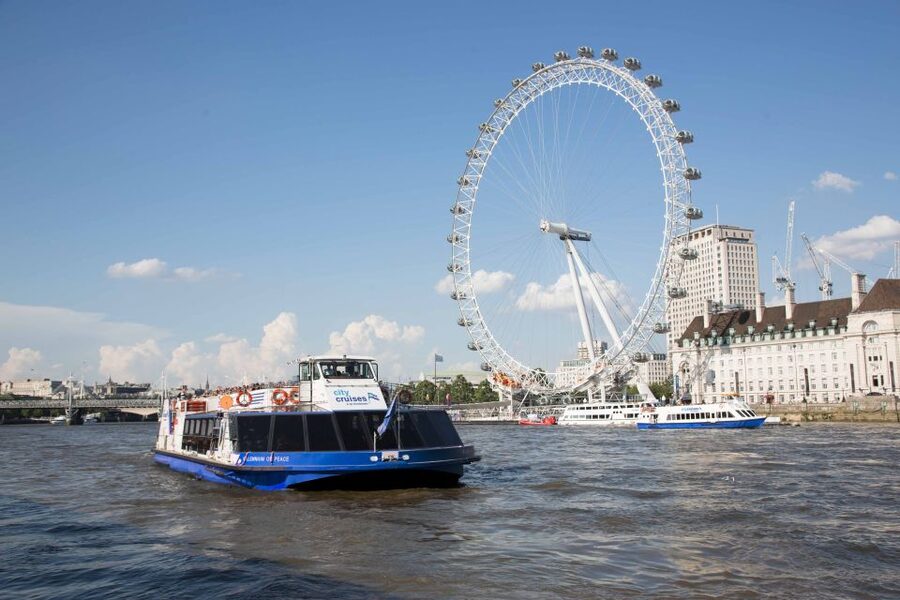 London: Crown Jewels Tour with River Cruise - The guide and group experience