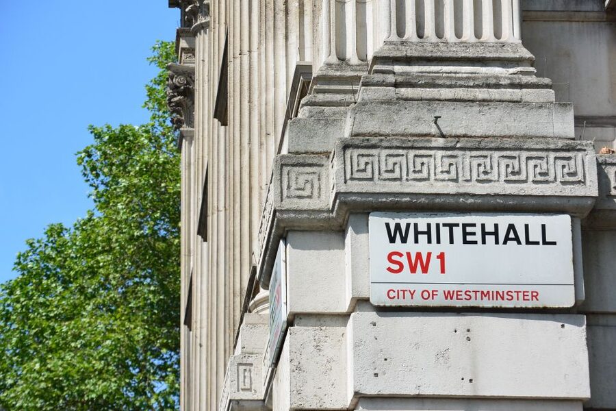 London: German-Speaking Guided Tour of Westminster - Buckingham Palace and the royal opening