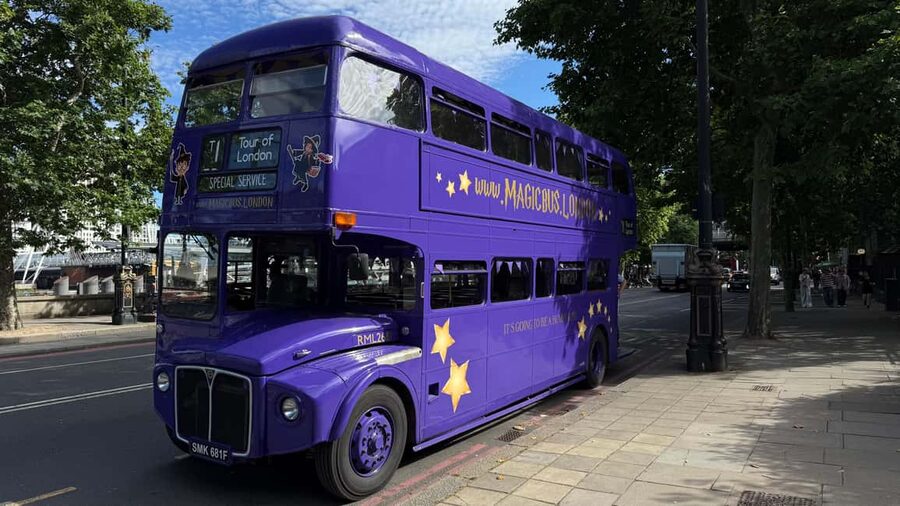 London: Guided Harry Potter Coach Tour of Locations - What kind of Harry Potter tour is this?