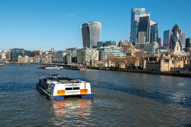 London: Harry Potter Walk, Hop-on Hop-off Bus Tour and Cruise - Using the hop-on hop-off bus without wasting the day