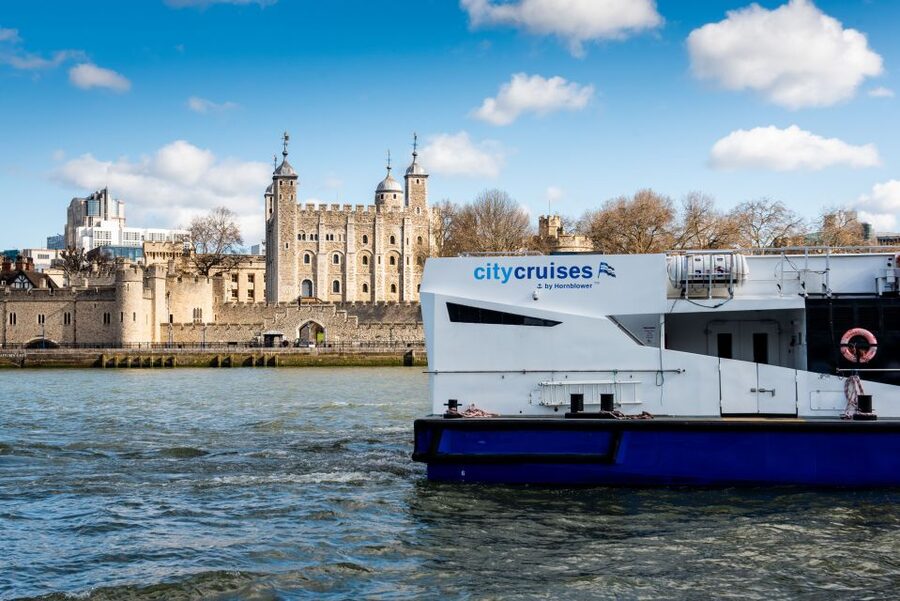 London: Harry Potter Walk, Hop-on Hop-off Bus Tour & Cruise - Key details worth knowing