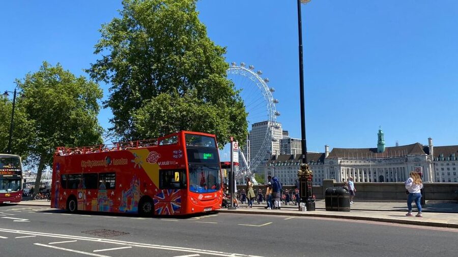 London: Harry Potter Walk, Hop-on Hop-off Bus Tour & Cruise - Buckingham Palace and the Westminster to Tower cruise