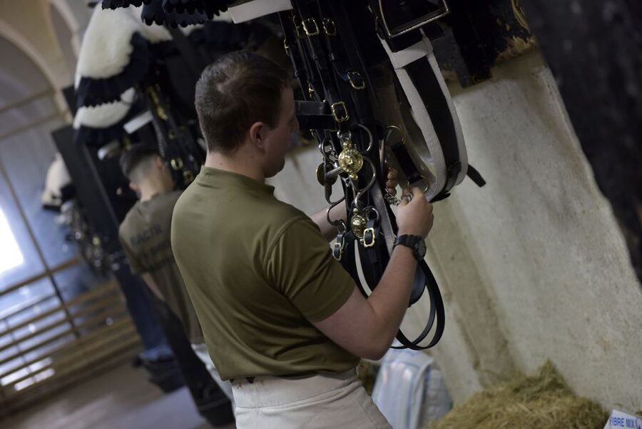 London: Household Cavalry Museum Entry Ticket - Key points to know before you go