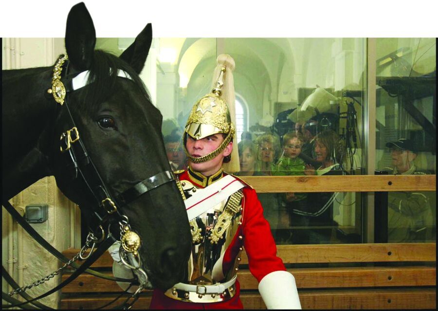 London: Household Cavalry Museum Entry Ticket - How the $14 ticket measures up