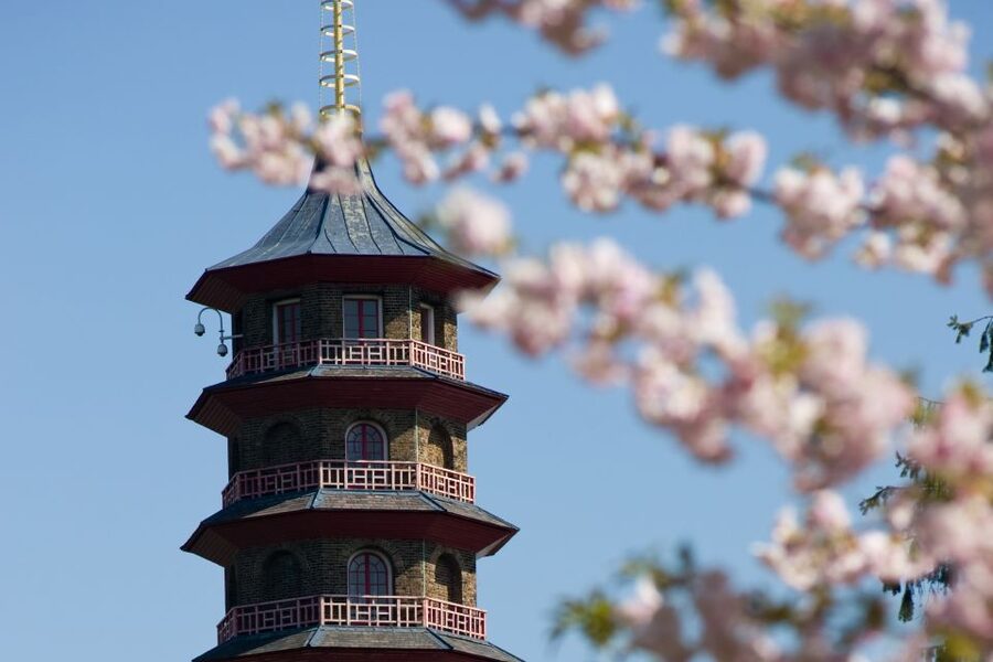 London: Kew Gardens Admission Ticket - Five things to know before visiting Kew Gardens