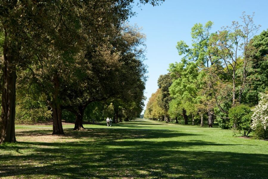 London: Kew Gardens Admission Ticket - Food, breaks, and the cost of the day