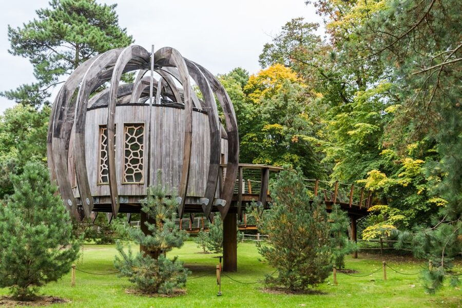 London: Kew Gardens Admission Ticket - Walking beneath old trees in the Arboretum