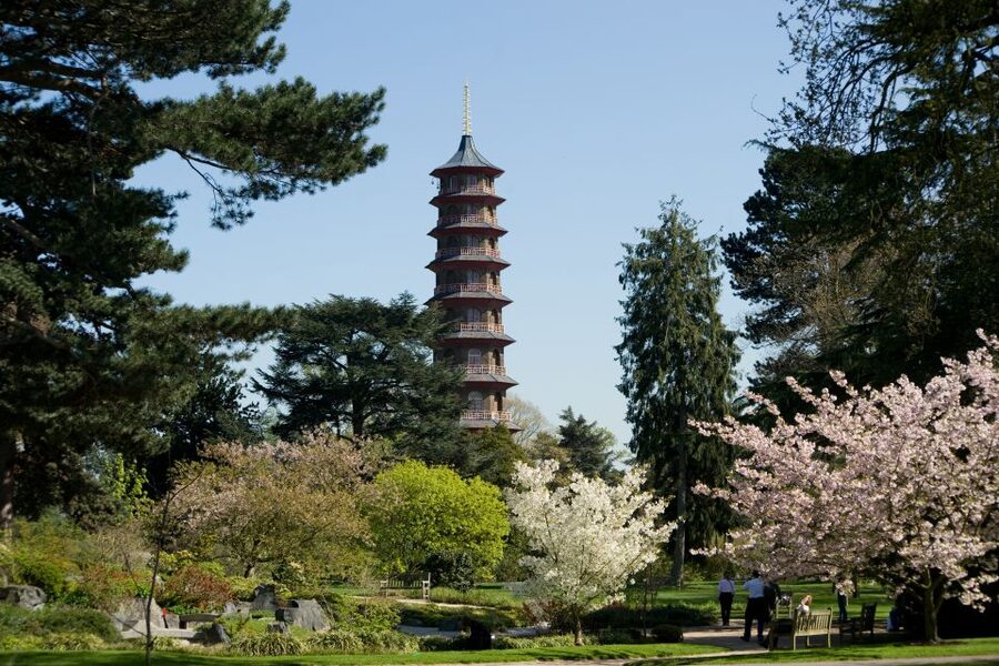 London: Kew Gardens Admission Ticket - The Hive and the work of bees
