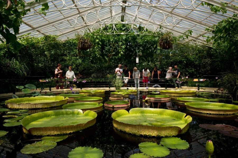 London: Kew Gardens Admission Ticket - Kew Palace and the royal kitchens