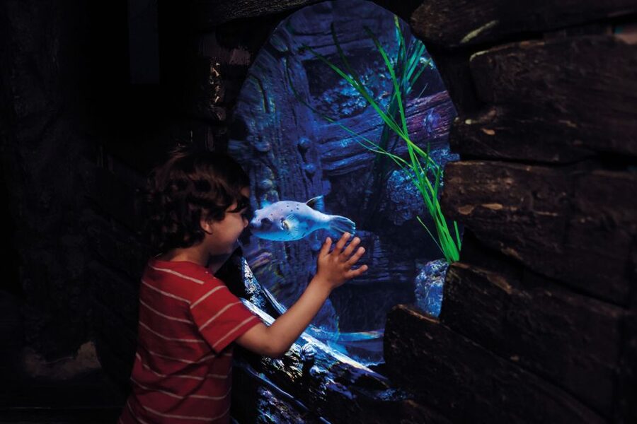 London: Madame Tussauds, London Eye & SEA LIFE Combo Ticket - Key points to know before you go