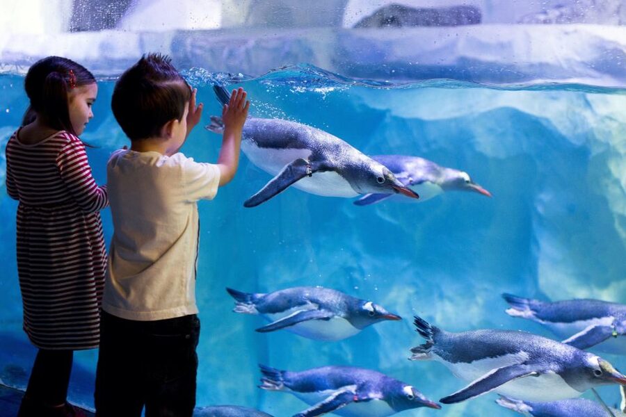London: Madame Tussauds, London Eye & SEA LIFE Combo Ticket - Is the combo ticket good value?