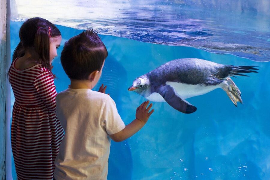 London: Madame Tussauds, SEA LIFE and London Dungeon Entry - SEA LIFE London takes you through 14 themed zones