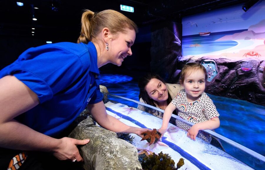 London: Madame Tussauds, SEA LIFE and London Dungeon Entry - What people praise most about the experience