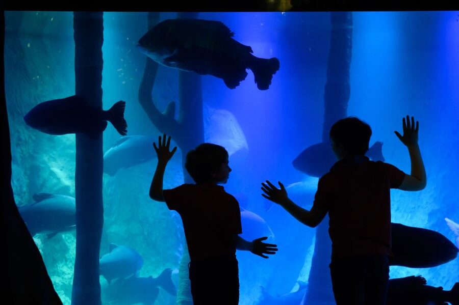 London: Madame Tussauds, SEA LIFE and London Dungeon Entry - Madame Tussauds puts you on the red carpet