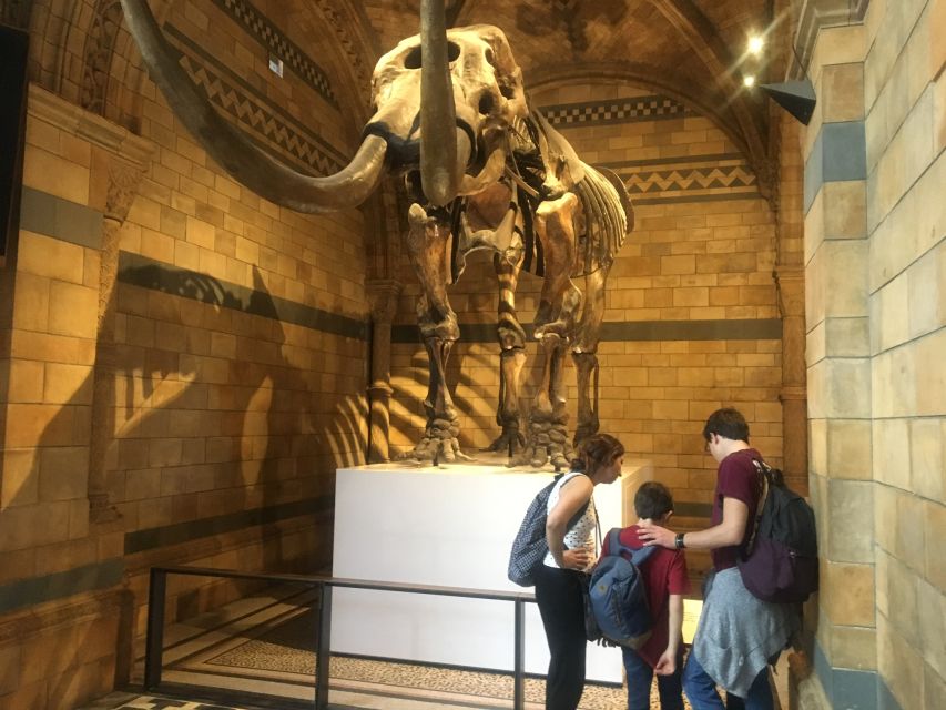 London: Natural History Museum Entry Ticket and Guided Tour - Key Points Before You Book