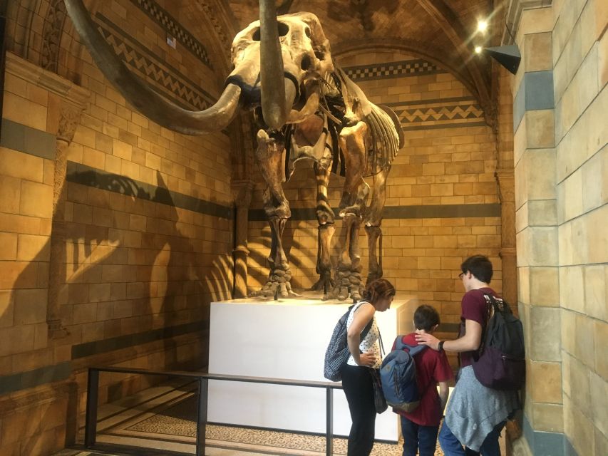 London: Natural History Museum Entry Ticket and Guided Tour - The Central Hall and the Diplodocus Skeleton
