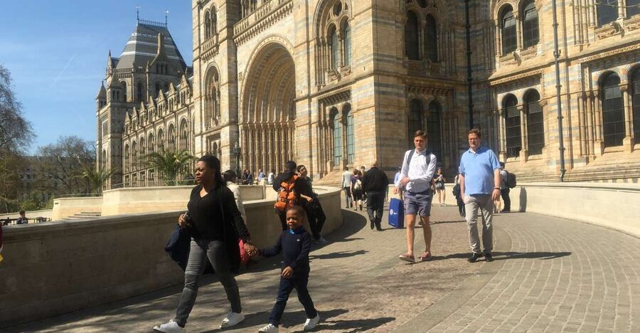 London: Natural History Museum Entry Ticket and Guided Tour - Minerals, Gems, and the Small Details
