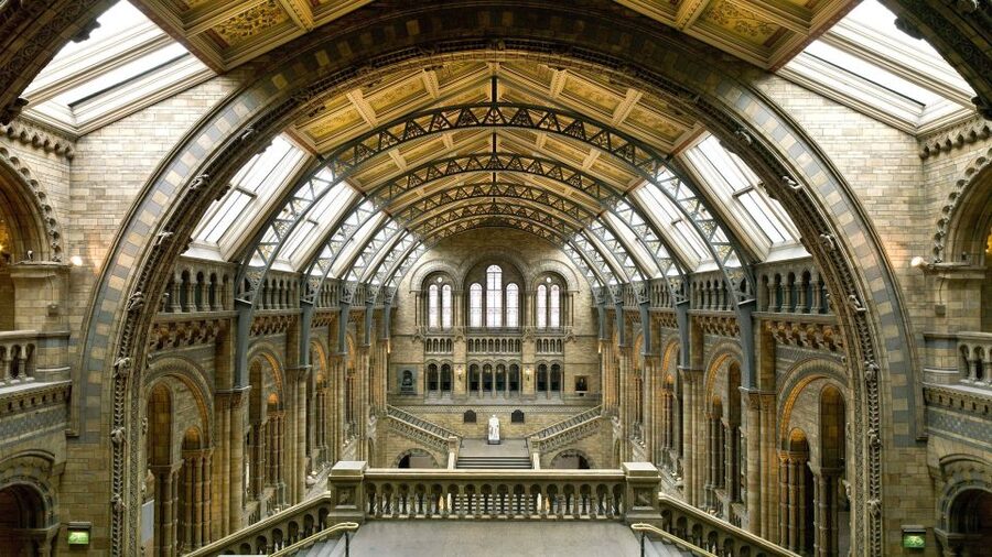 London: Natural History Museum Guided Tour - Key points to know before booking