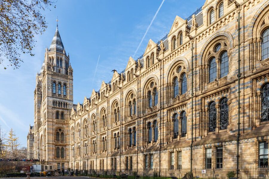 London: Natural History Museum Guided Tour - Why a guide helps in a museum this large