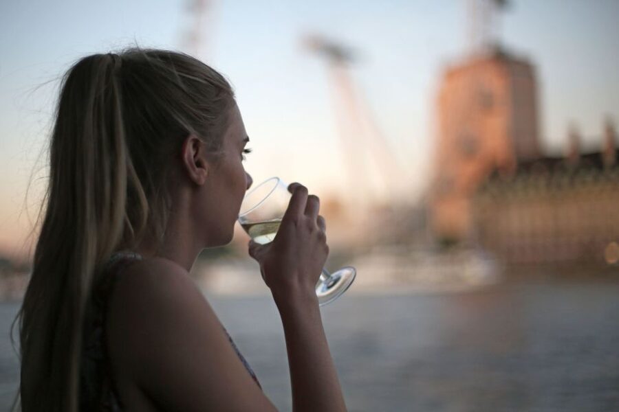 London: River Thames Evening Cruise with Bubbly and Canapés - Live music and the mood onboard