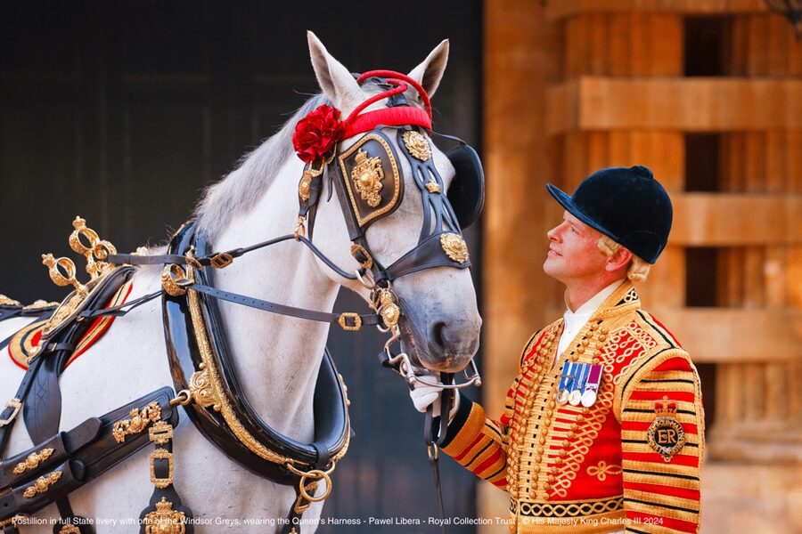 London: Royal Walking Tour with Guard Change & Royal Mews - Buckingham Palace State Rooms, available only in summer