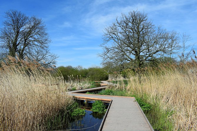London's Best Kept Secret Bike Tour - How difficult is the ride?